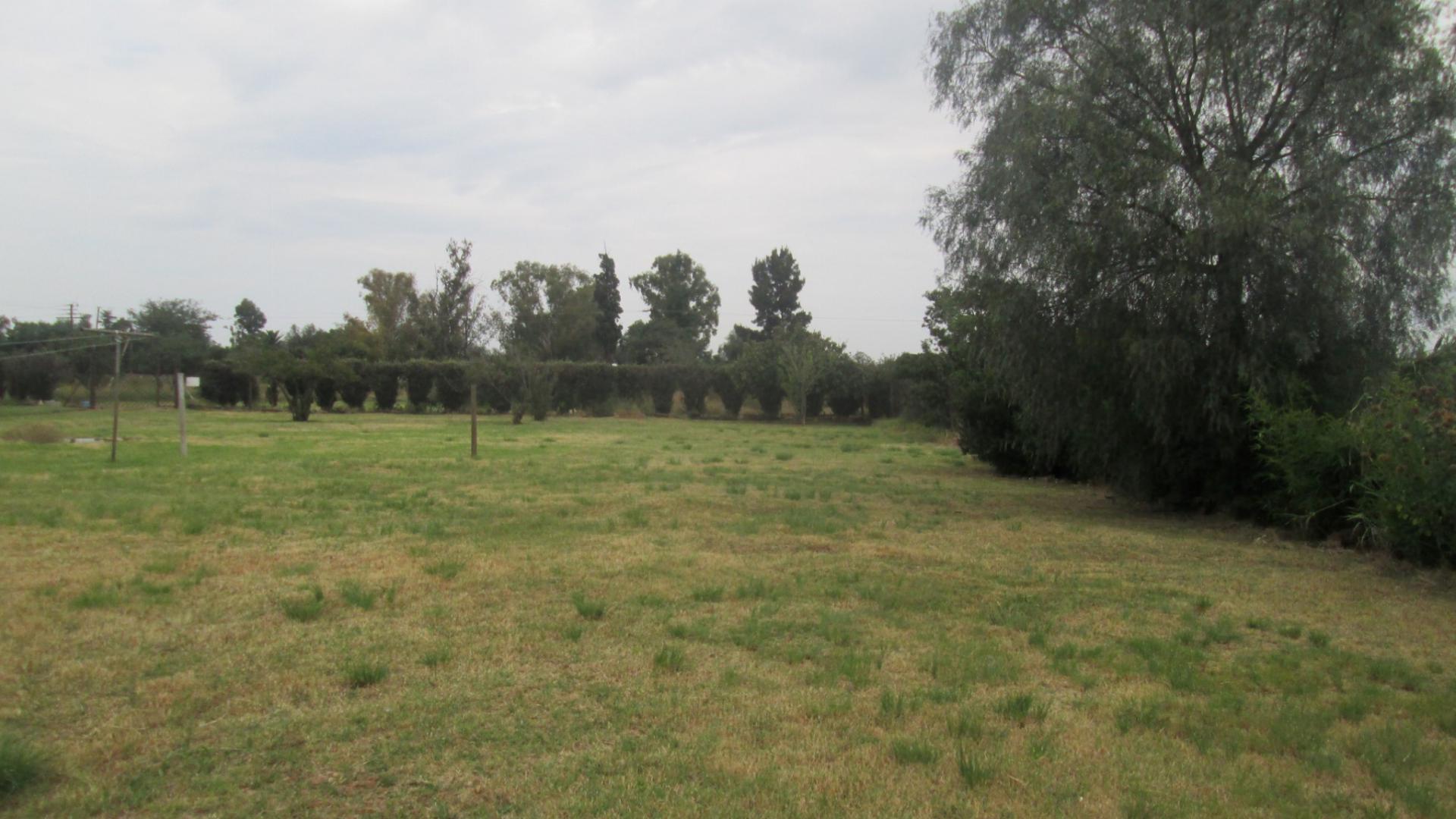 Backyard of property in The Balmoral Estates