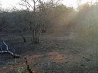 Front View of property in Marloth Park