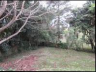 Backyard of property in Assagay