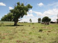 Front View of property in Memel