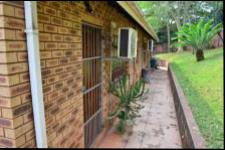 Backyard of property in Mtunzini