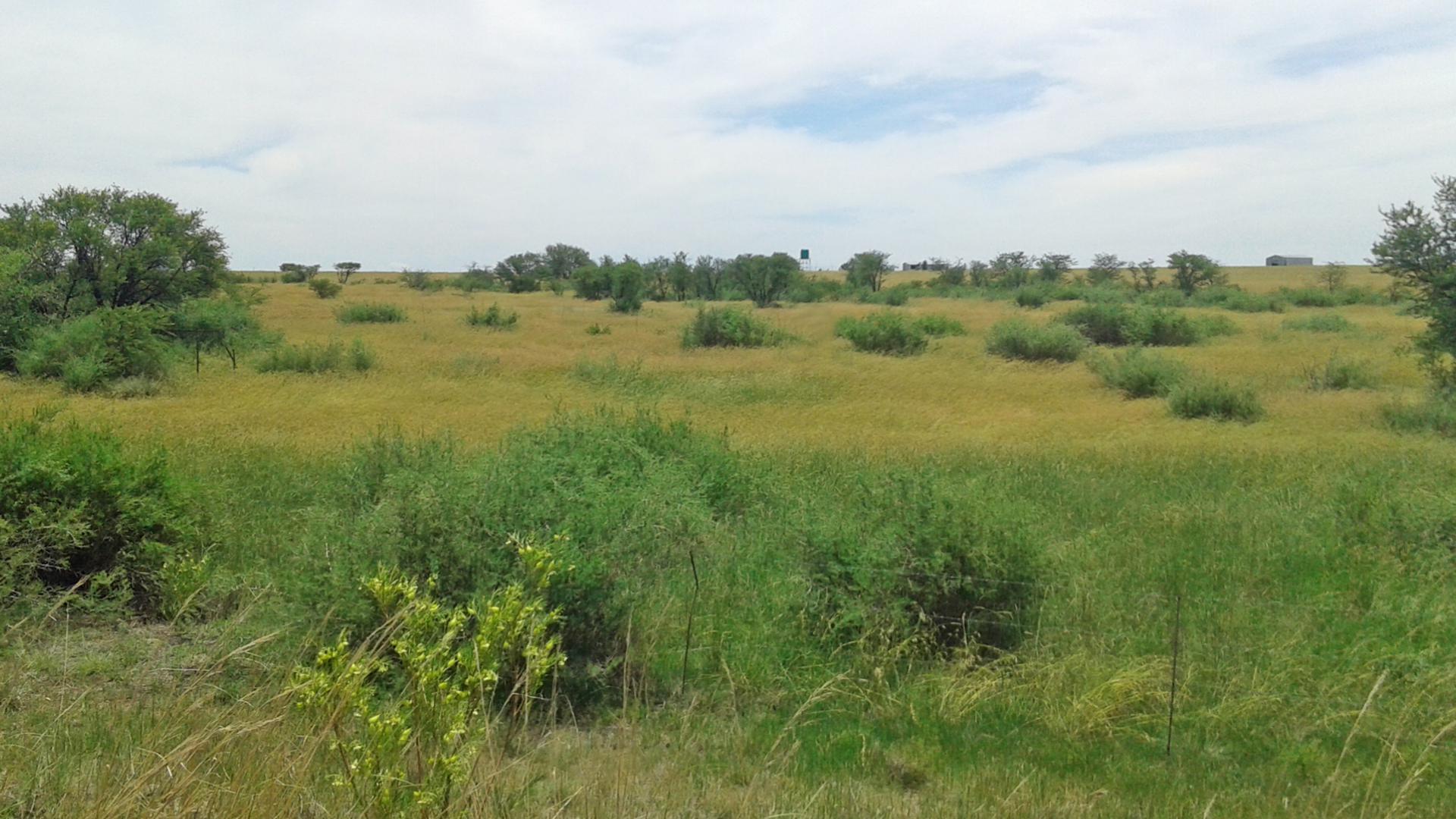 Front View of property in Koppies