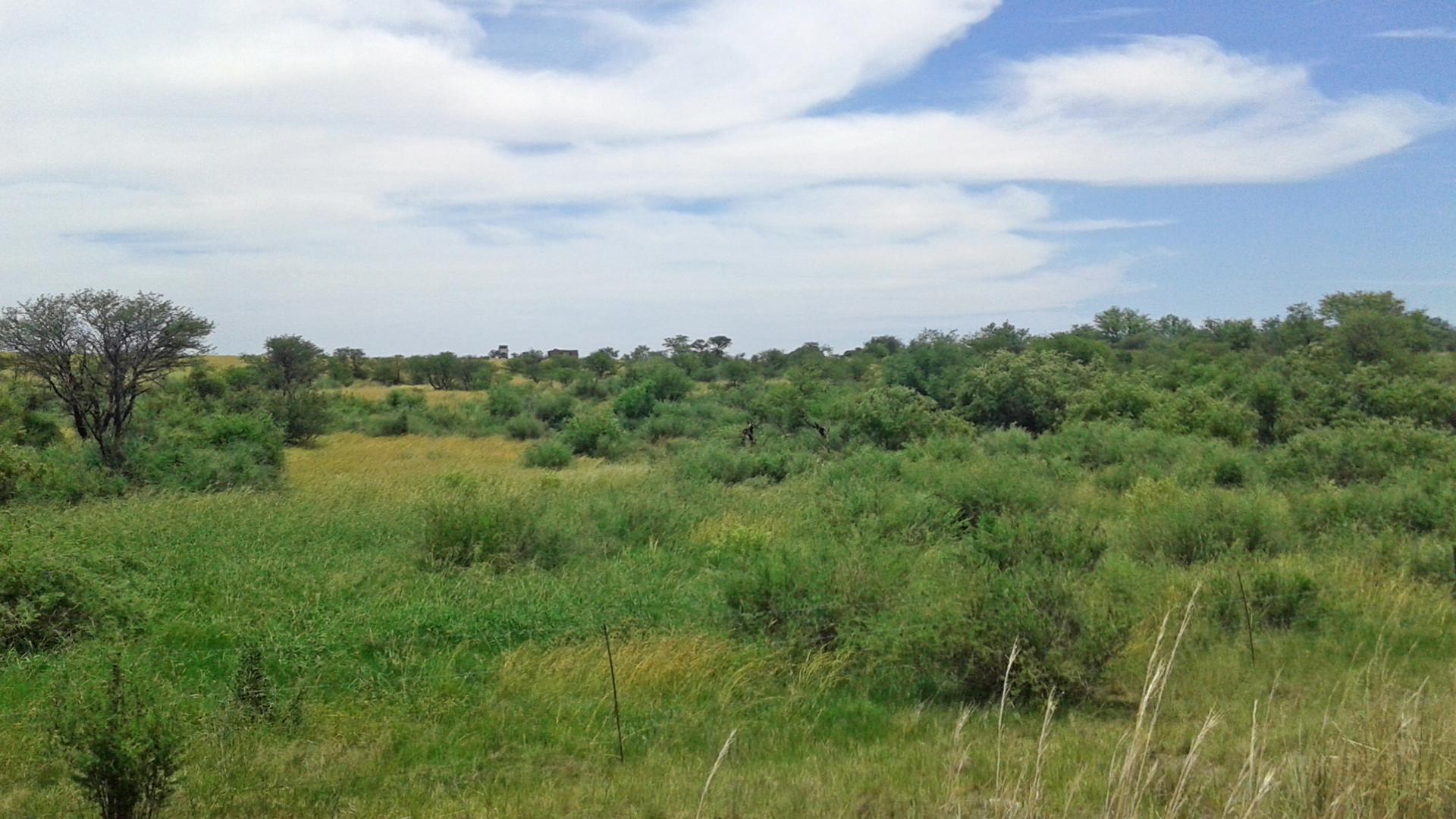 Front View of property in Koppies