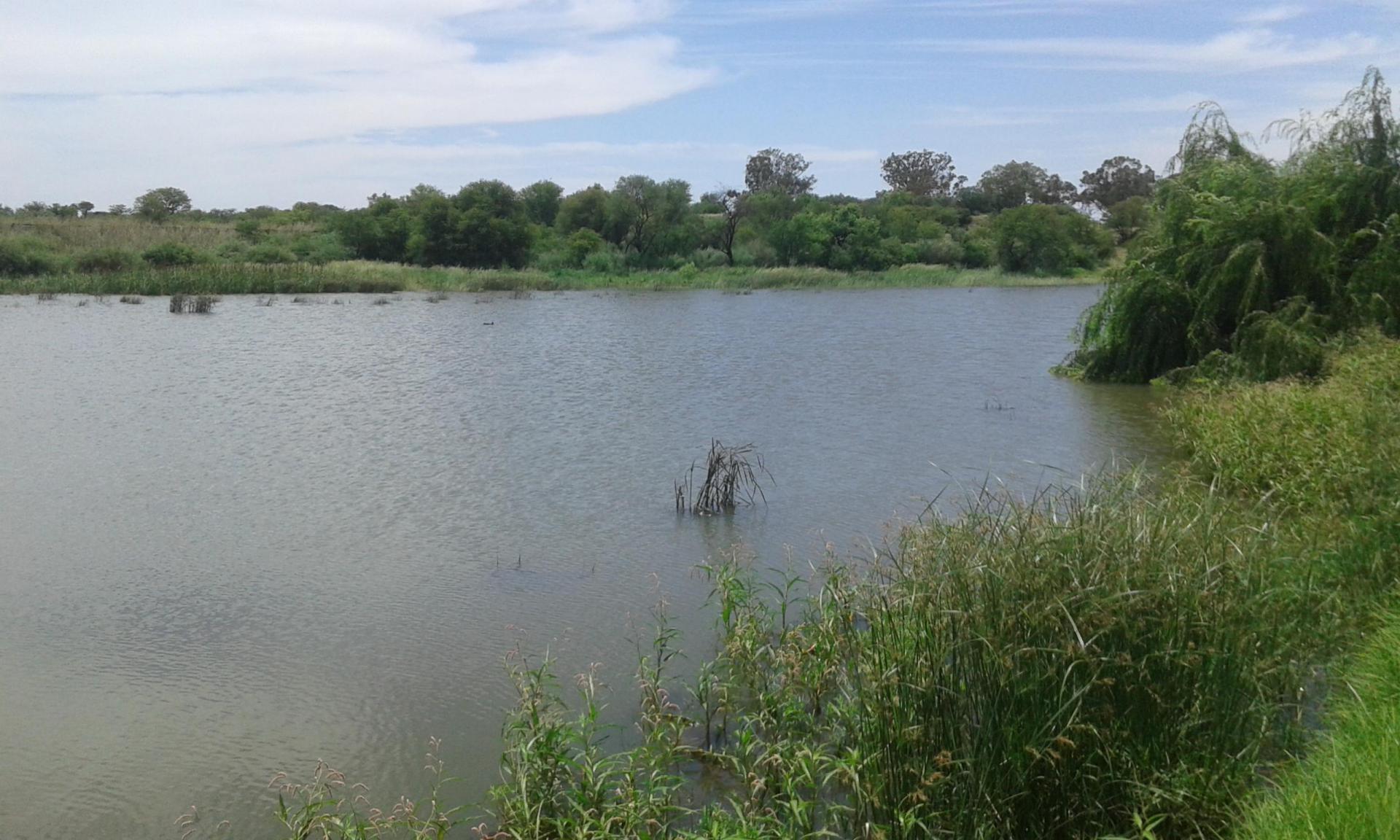 Front View of property in Koppies