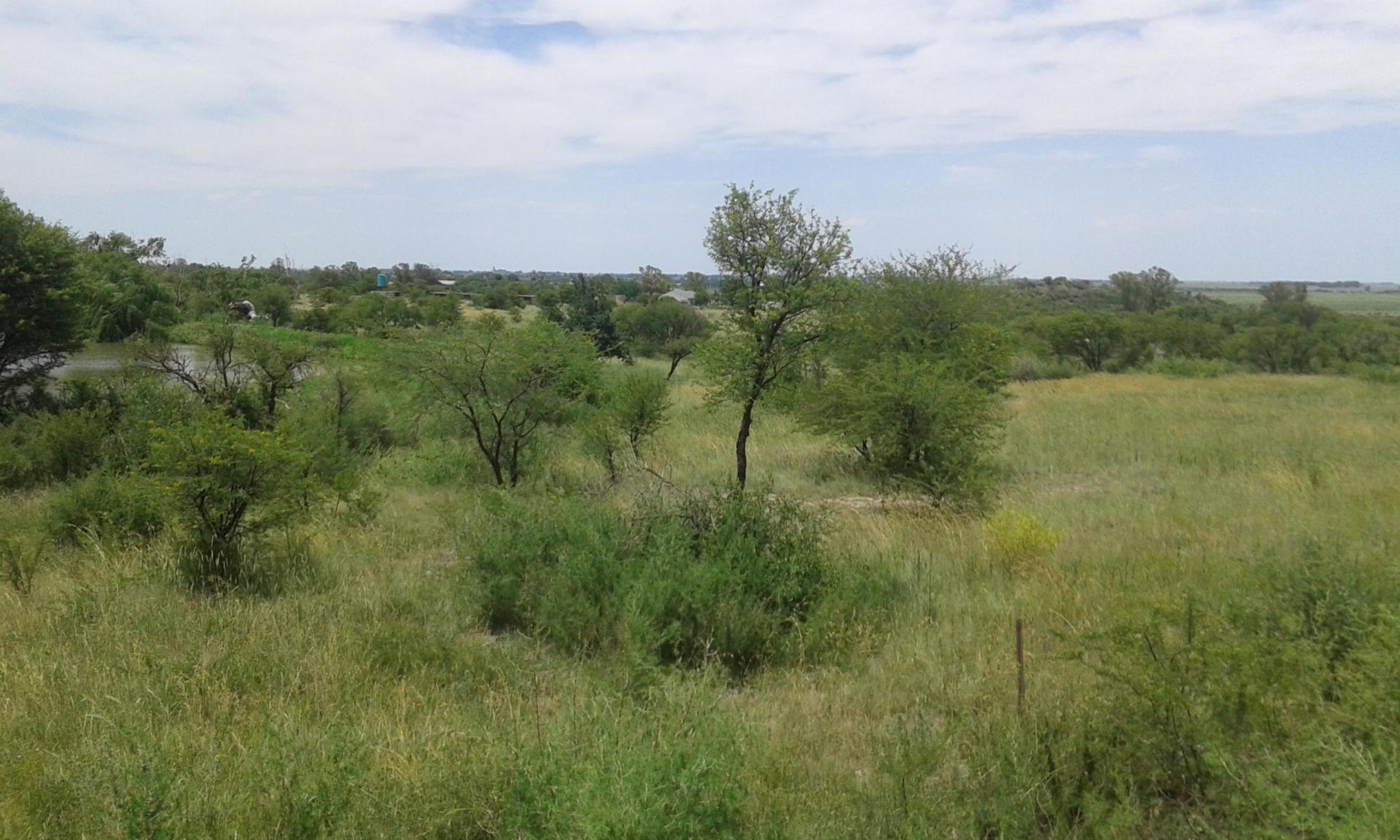 Front View of property in Koppies