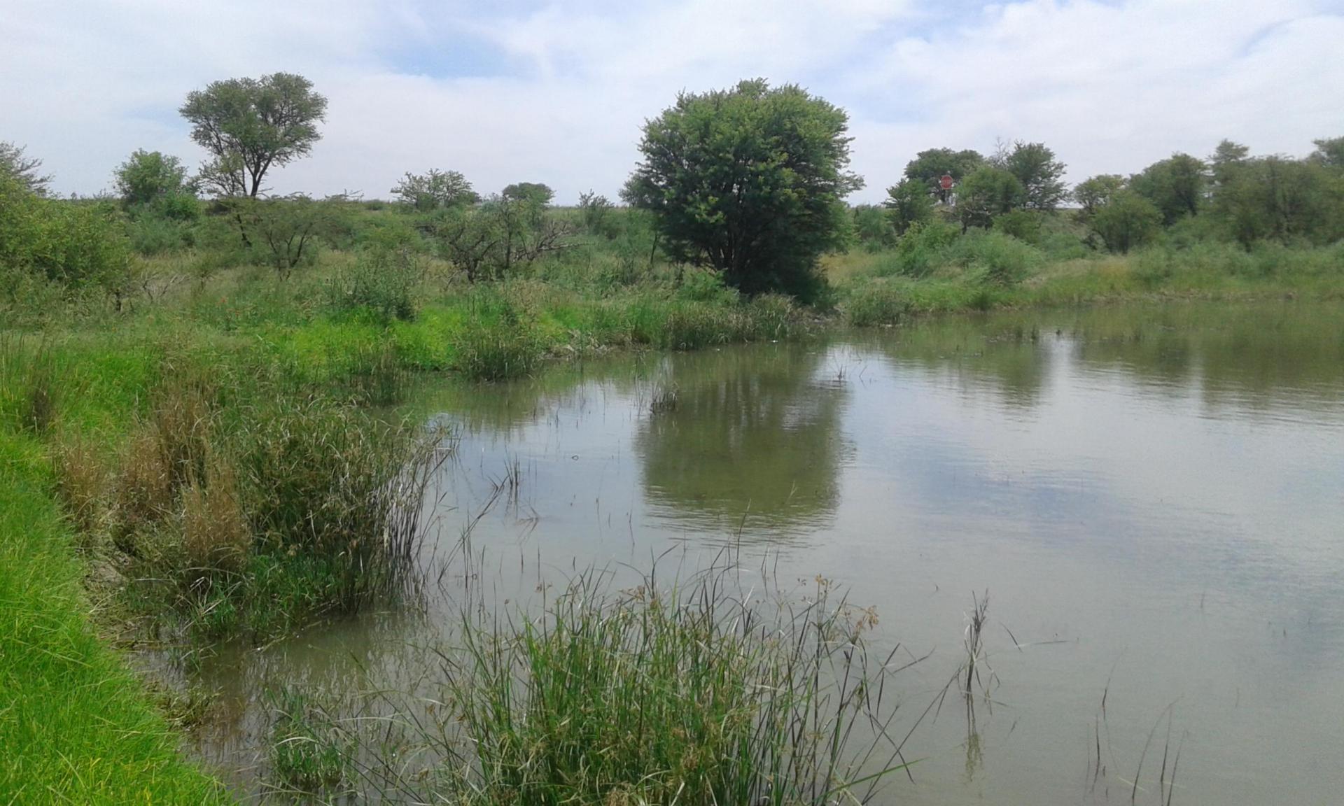 Front View of property in Koppies