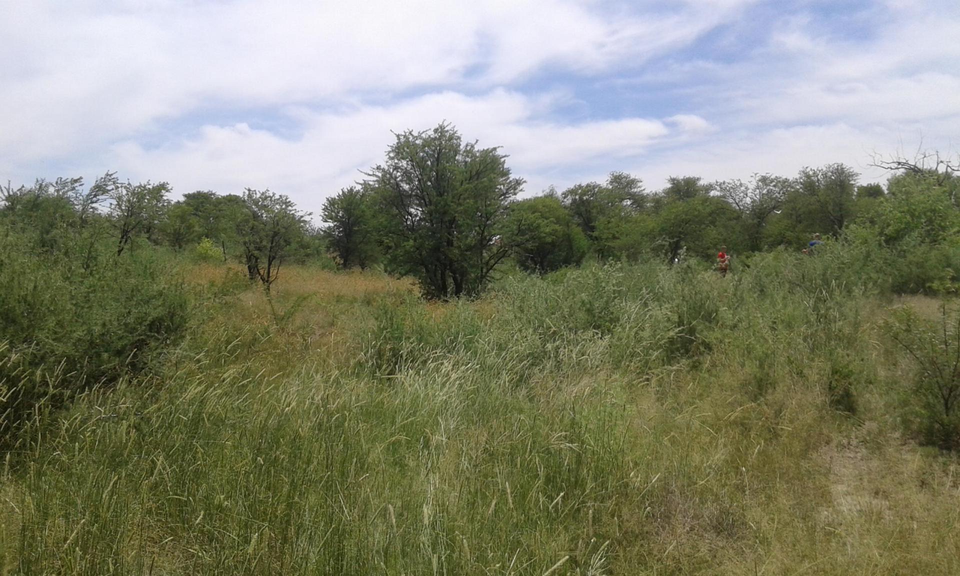 Front View of property in Koppies