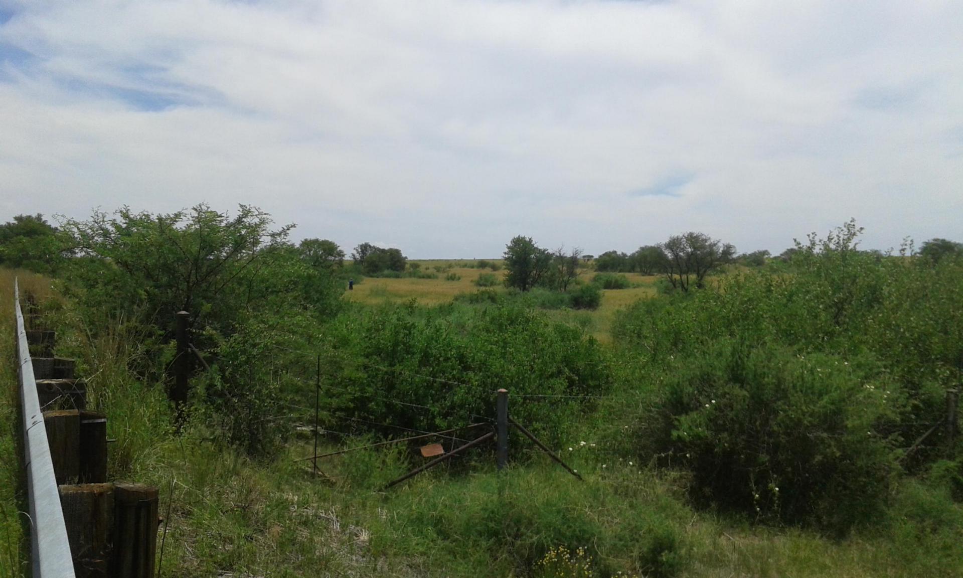 Front View of property in Koppies