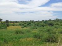 Smallholding for Sale for sale in Koppies