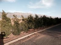 Land for Sale for sale in Tulbagh