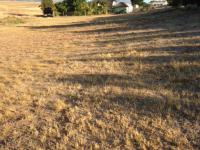 Front View of property in Tulbagh