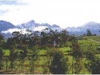 Backyard of property in Tulbagh