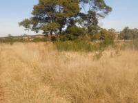 Front View of property in Nest Park