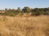 Front View of property in Nest Park