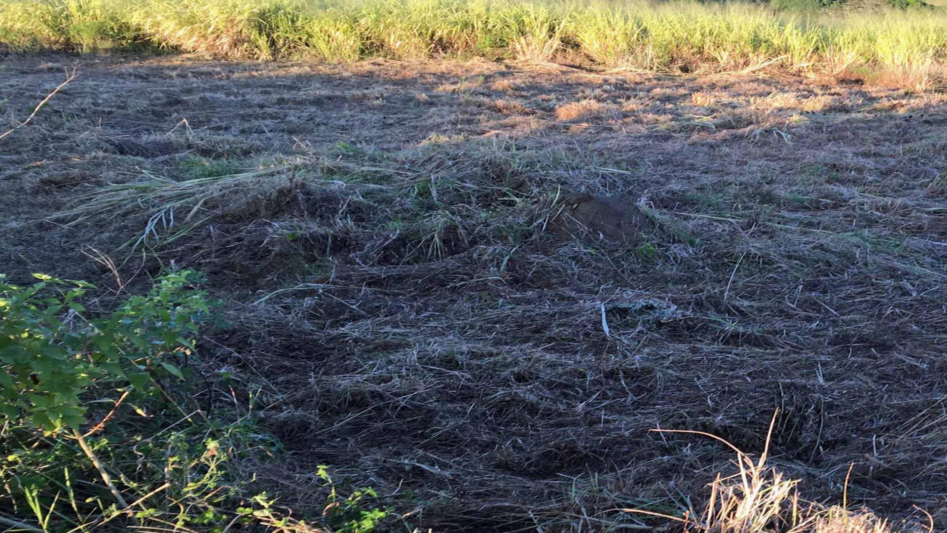 Front View of property in Umtentweni