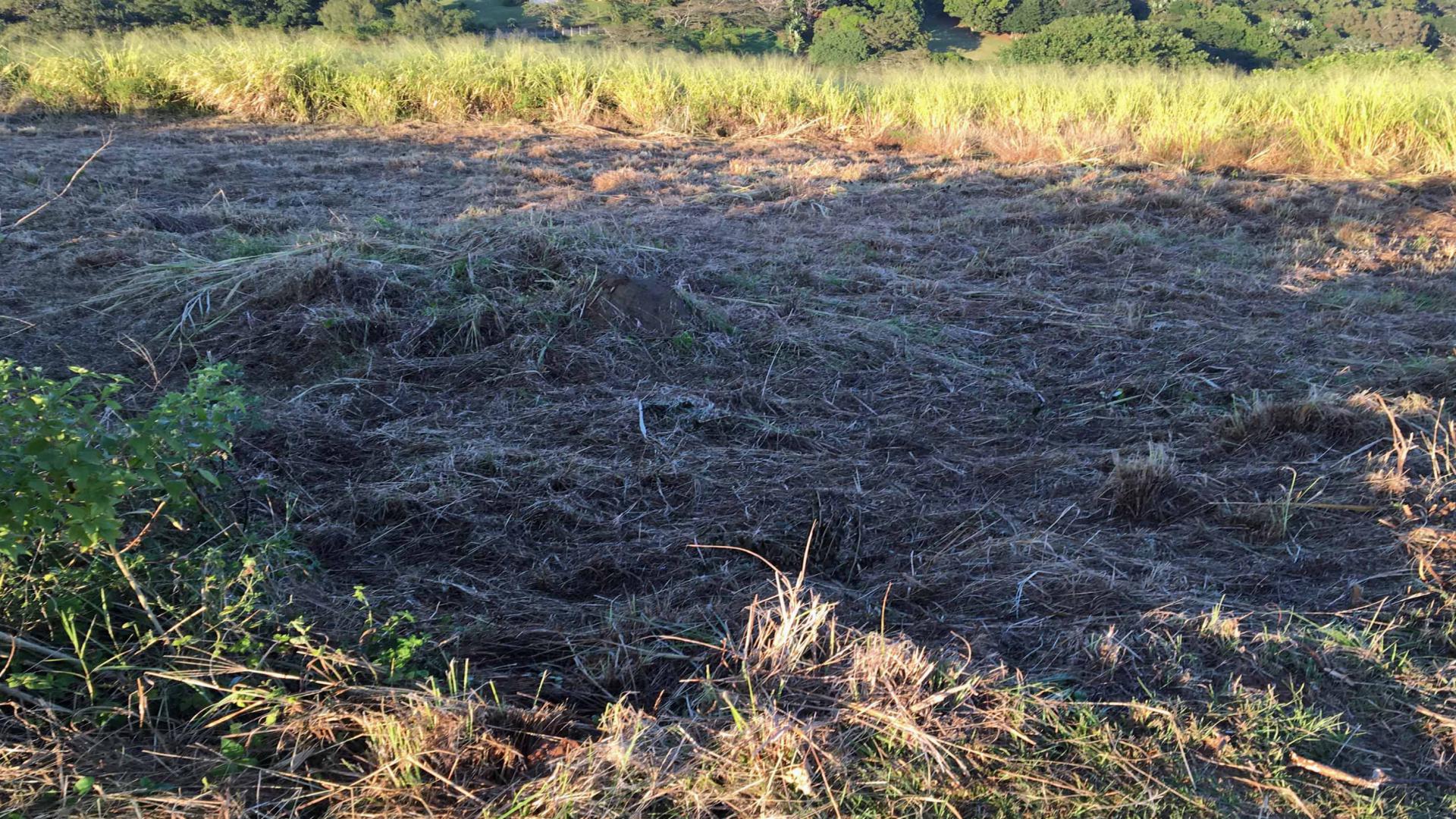Front View of property in Umtentweni