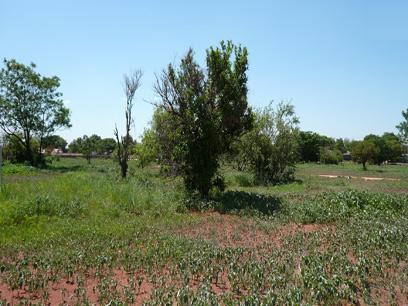 Land for Sale For Sale in The Orchards - Private Sale - MR16170