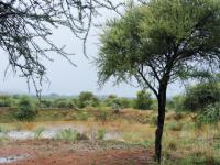 Backyard of property in Bela-Bela (Warmbad)