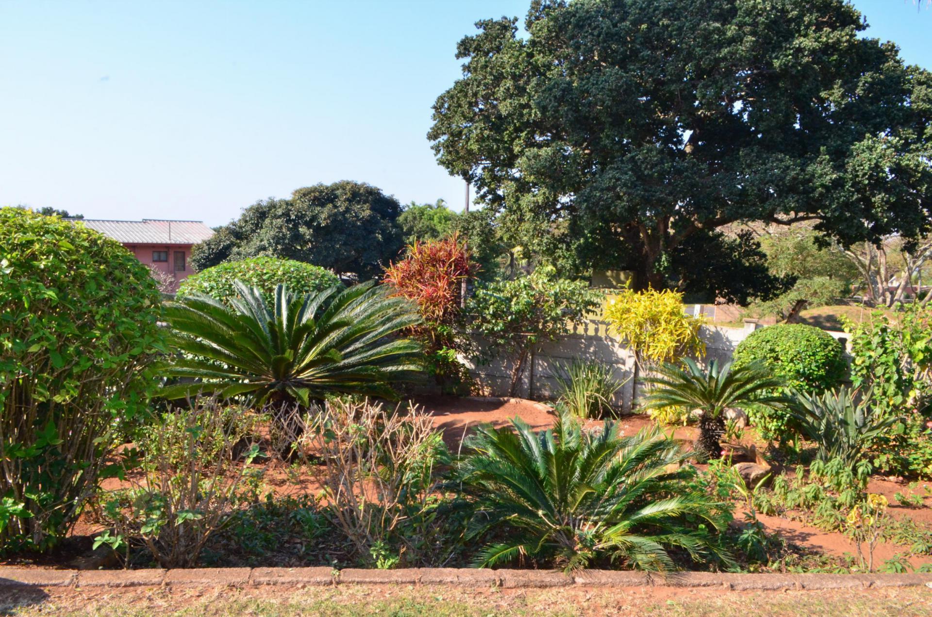 Garden of property in Hibberdene