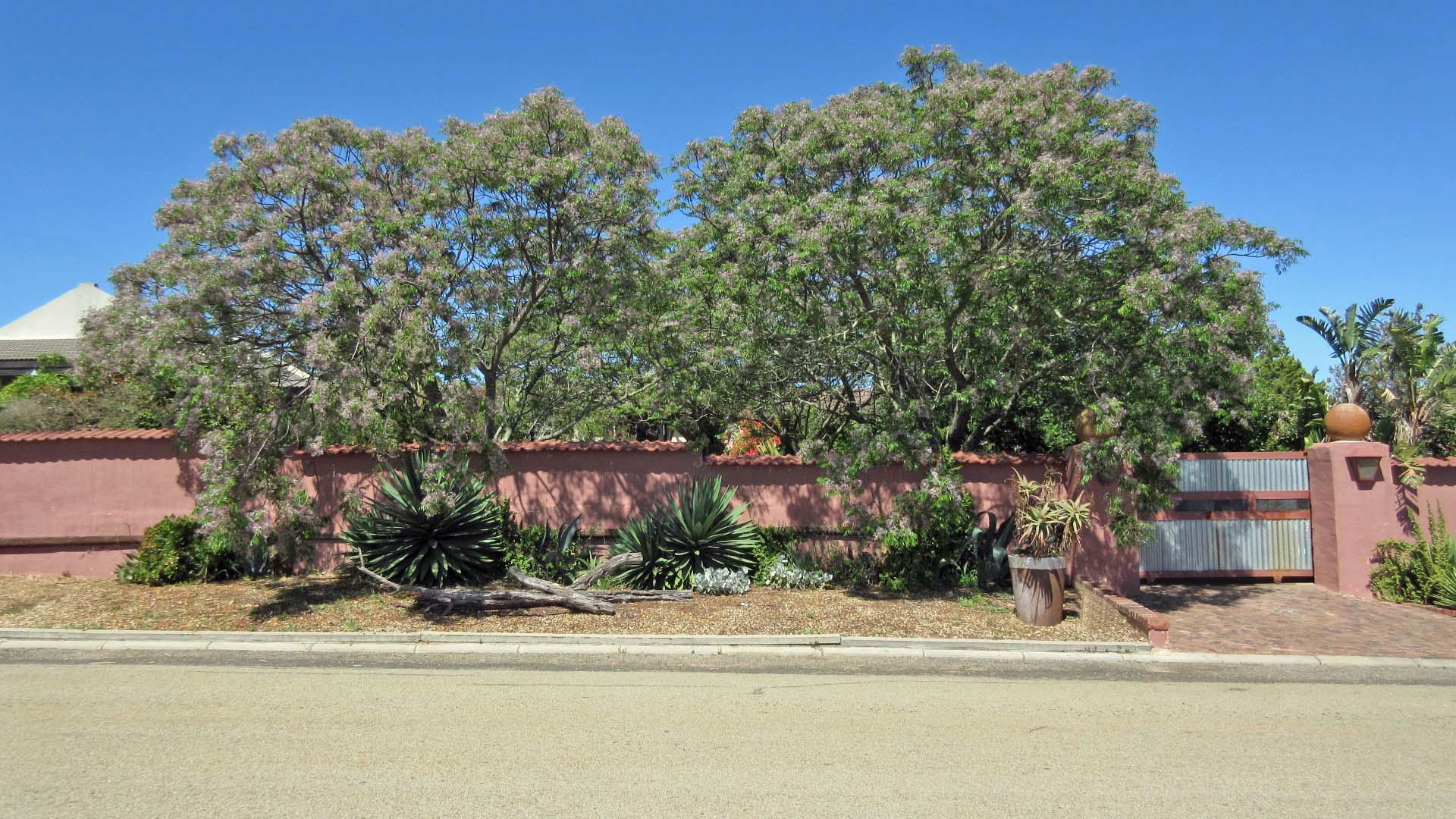 Front View of property in Darling