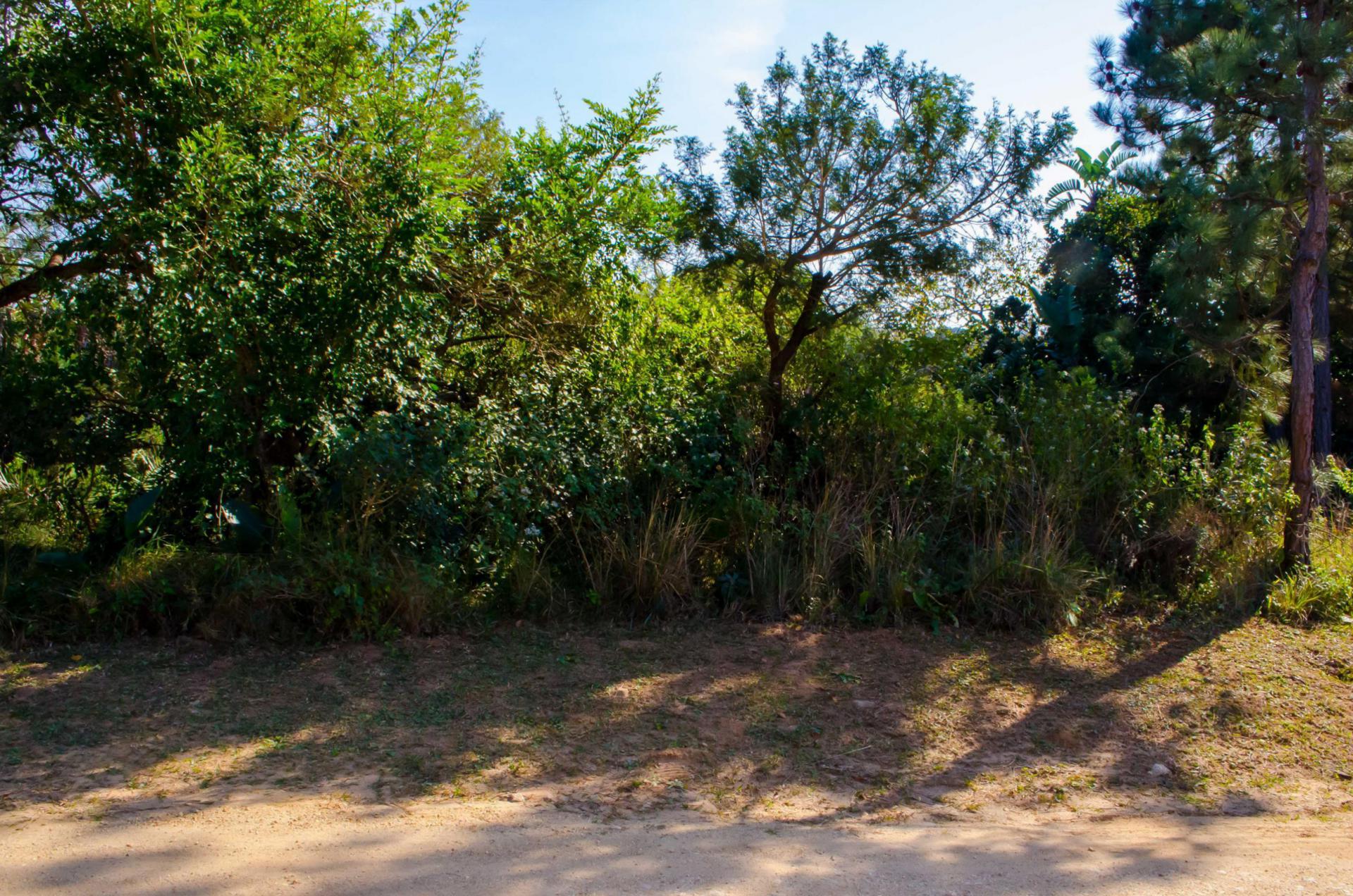 Front View of property in Palm Beach