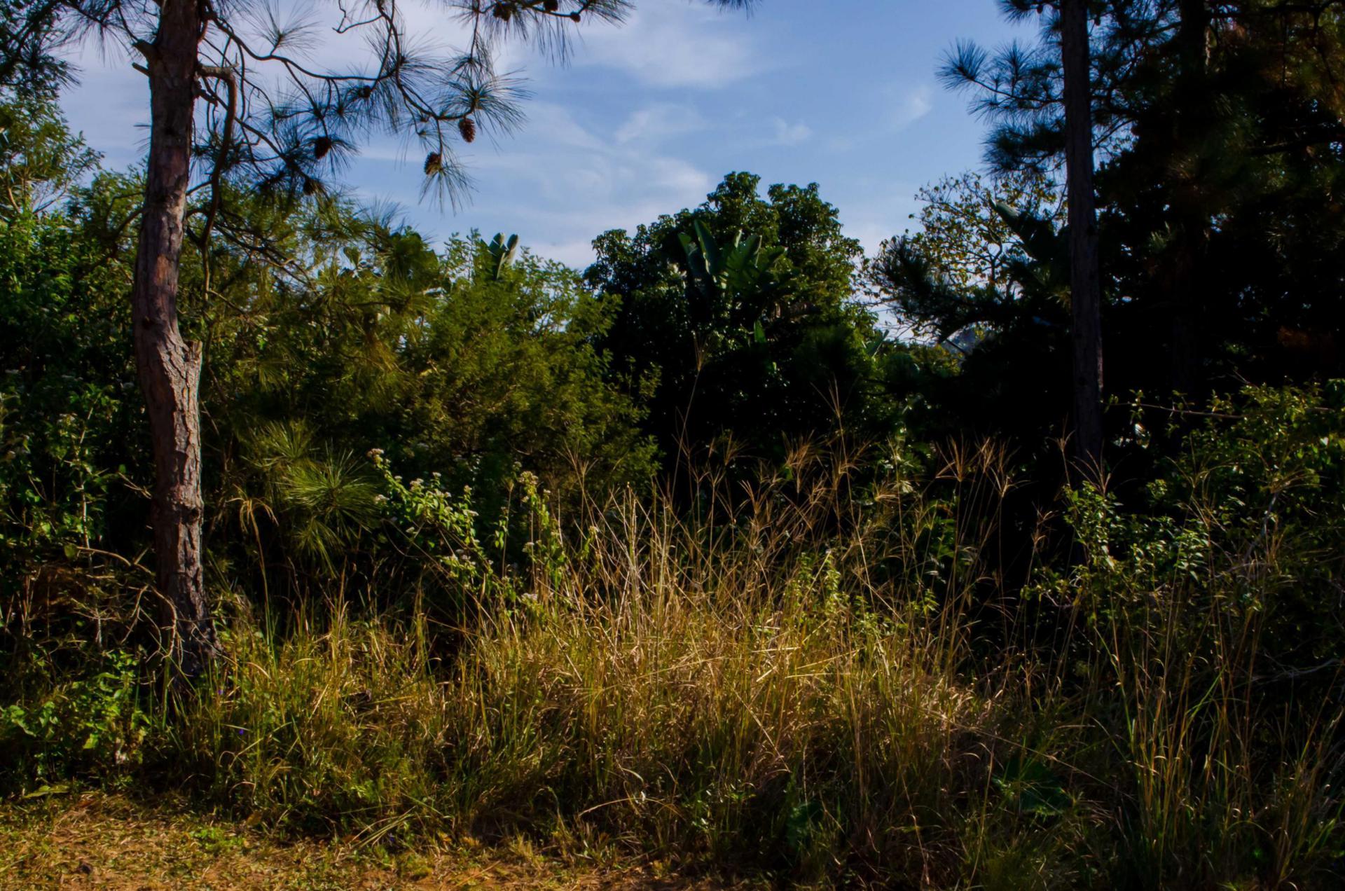 Front View of property in Palm Beach