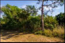 Land for Sale for sale in Palm Beach