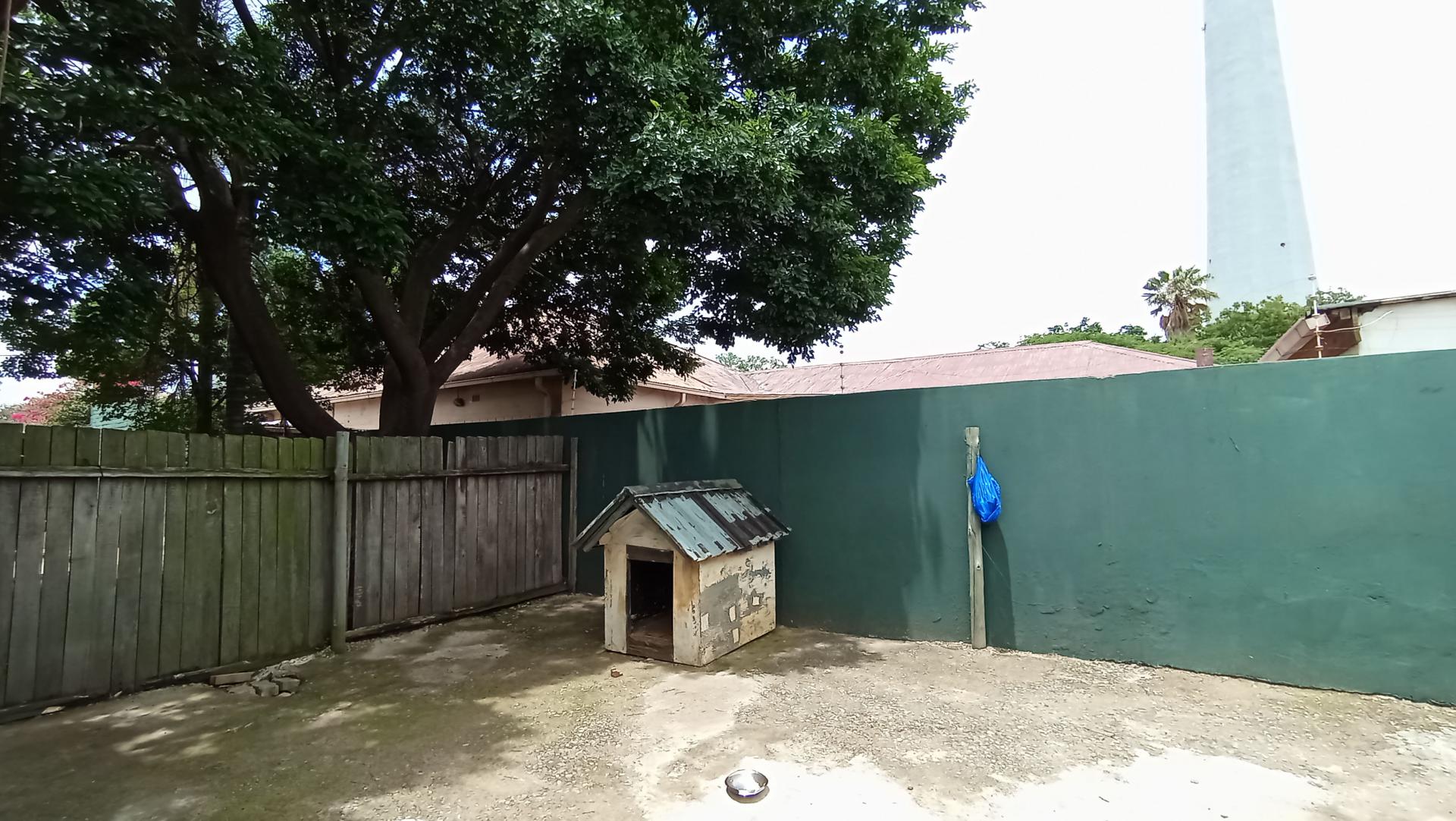 Backyard of property in Brixton