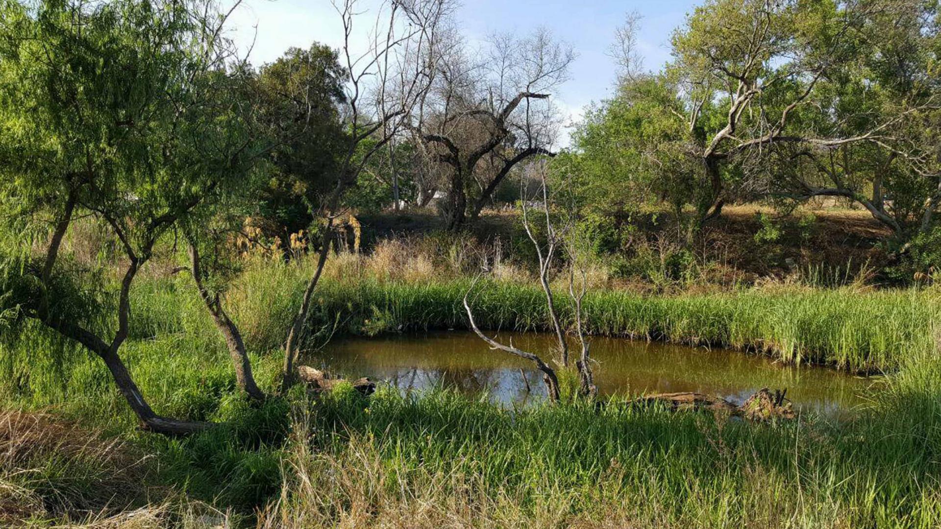 Front View of property in Modimolle (Nylstroom)