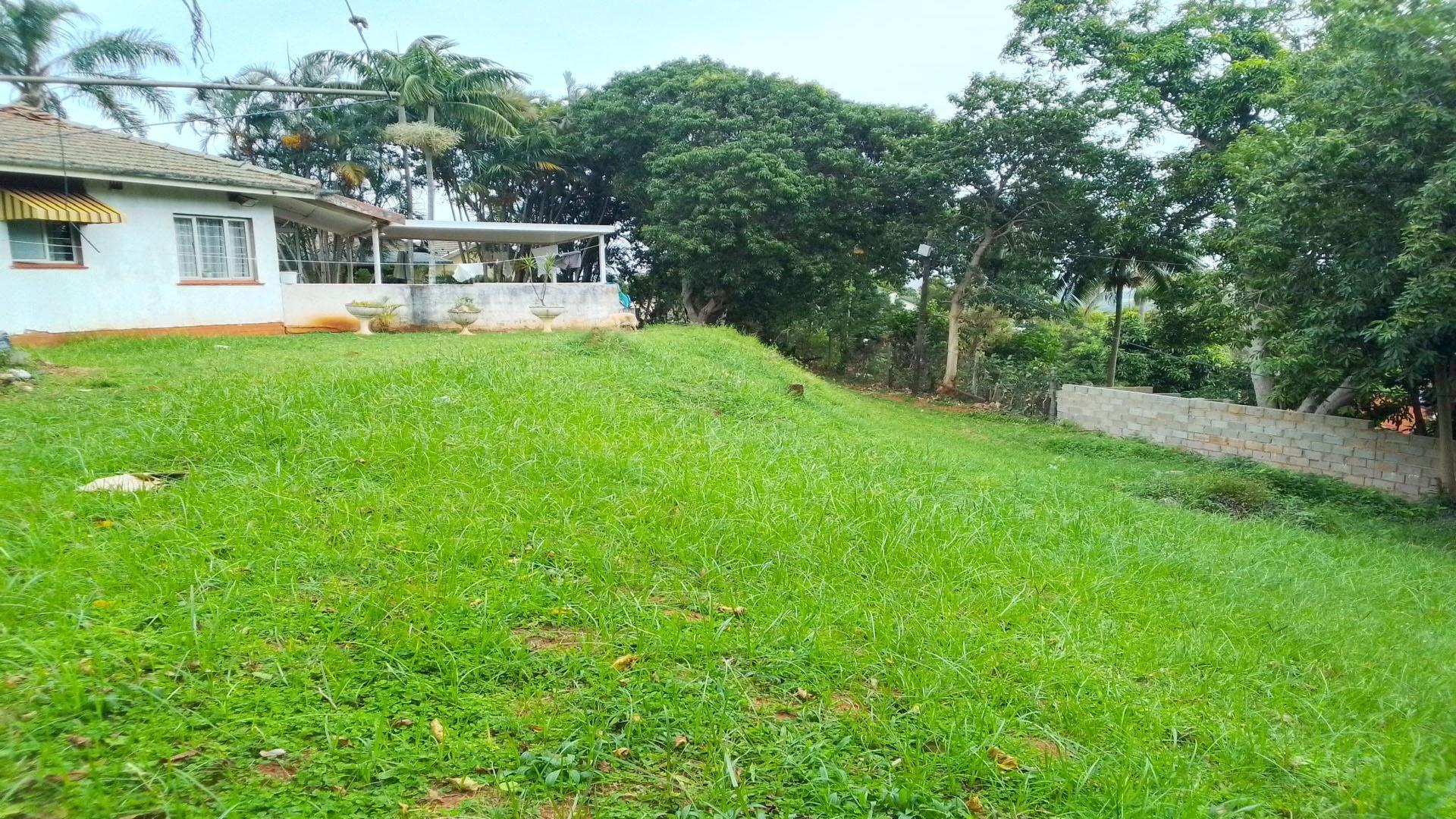 Garden of property in Durban Central