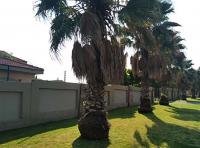 Front View of property in Lichtenburg