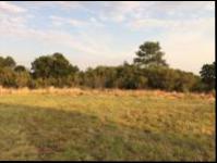 Land for Sale for sale in Bronkhorstspruit