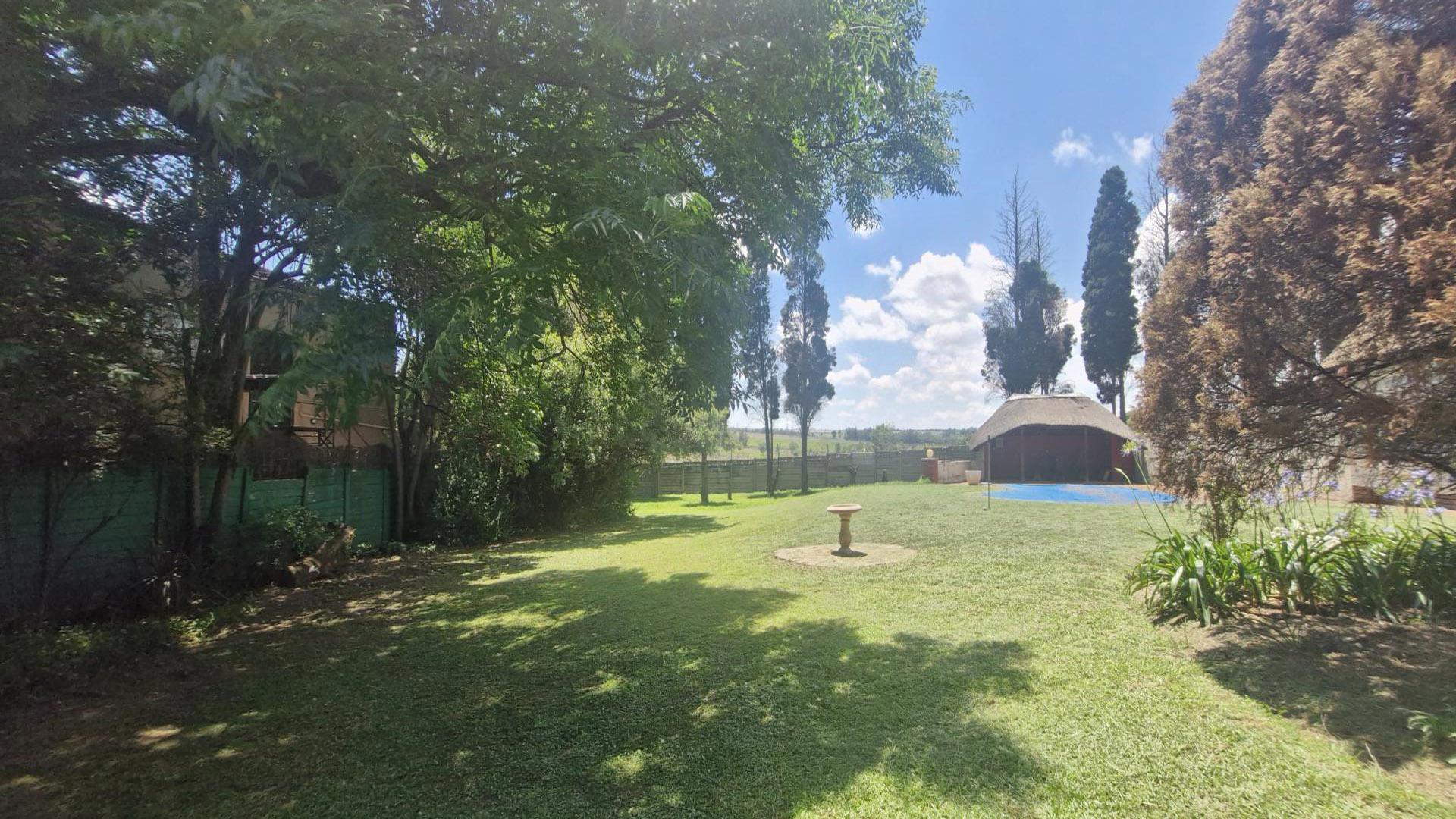 Backyard of property in Buccleuch