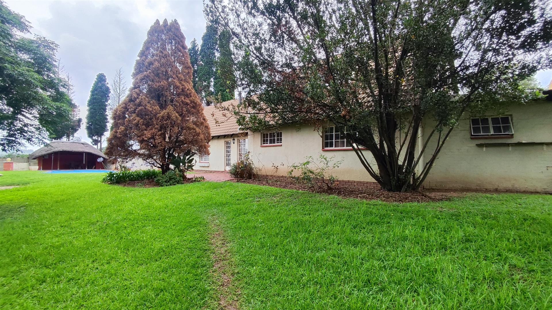 Backyard of property in Buccleuch
