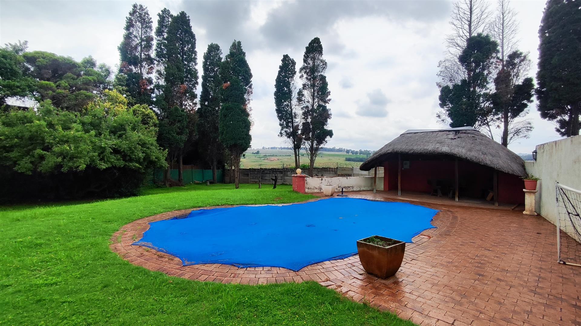 Backyard of property in Buccleuch