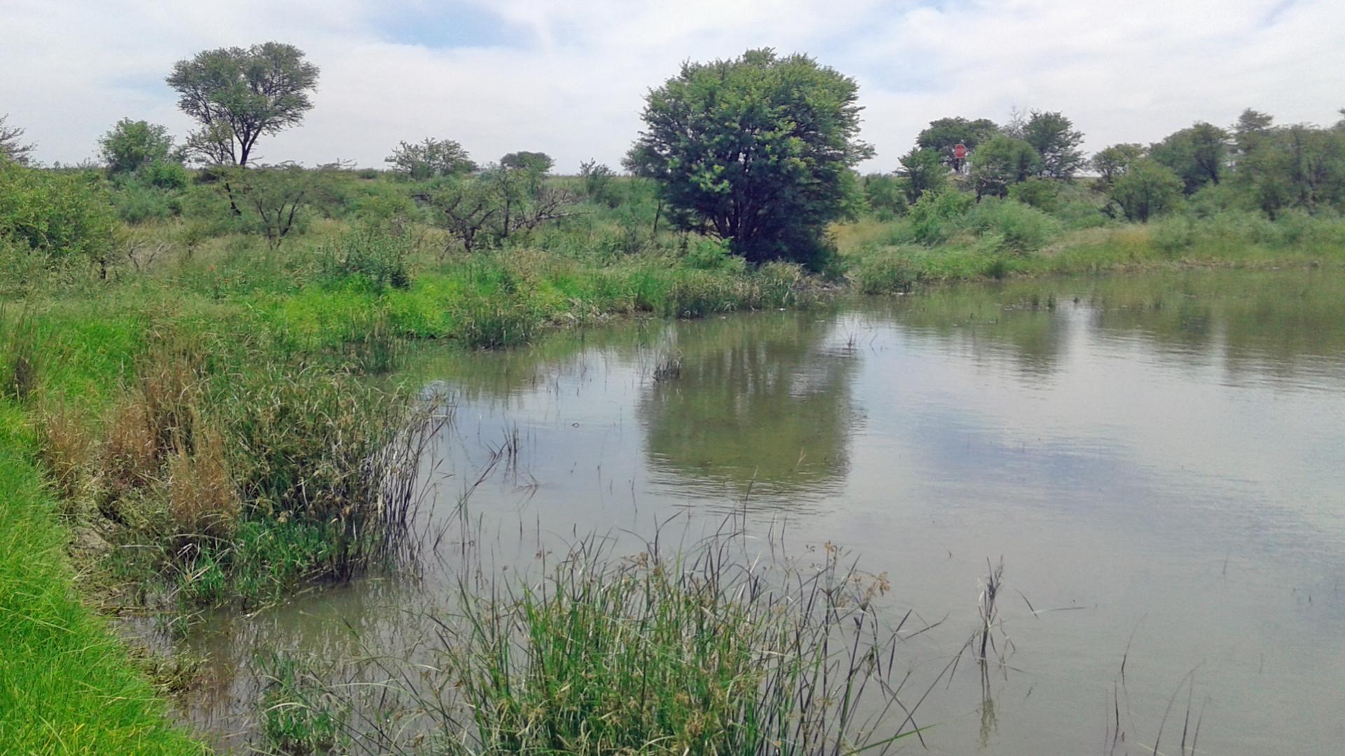 Front View of property in Koppies