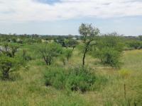 Land for Sale for sale in Koppies