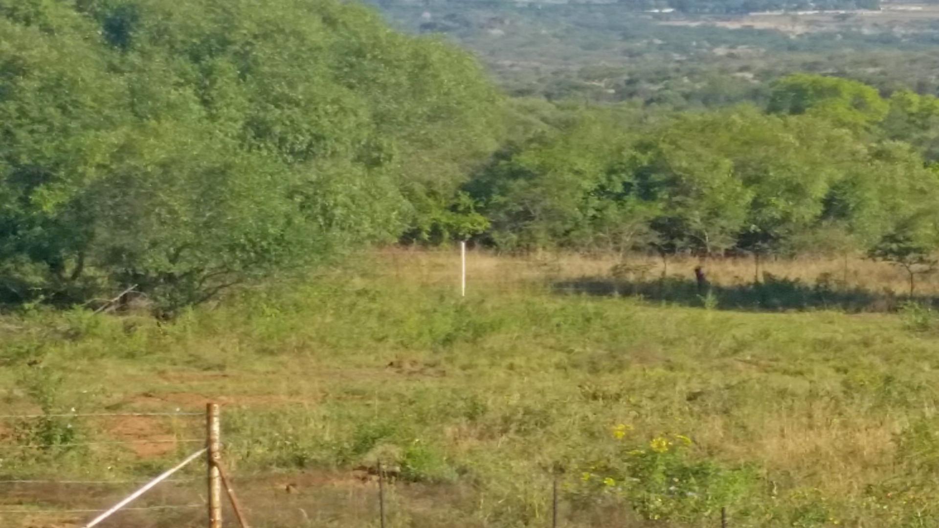 Backyard of property in Barberton
