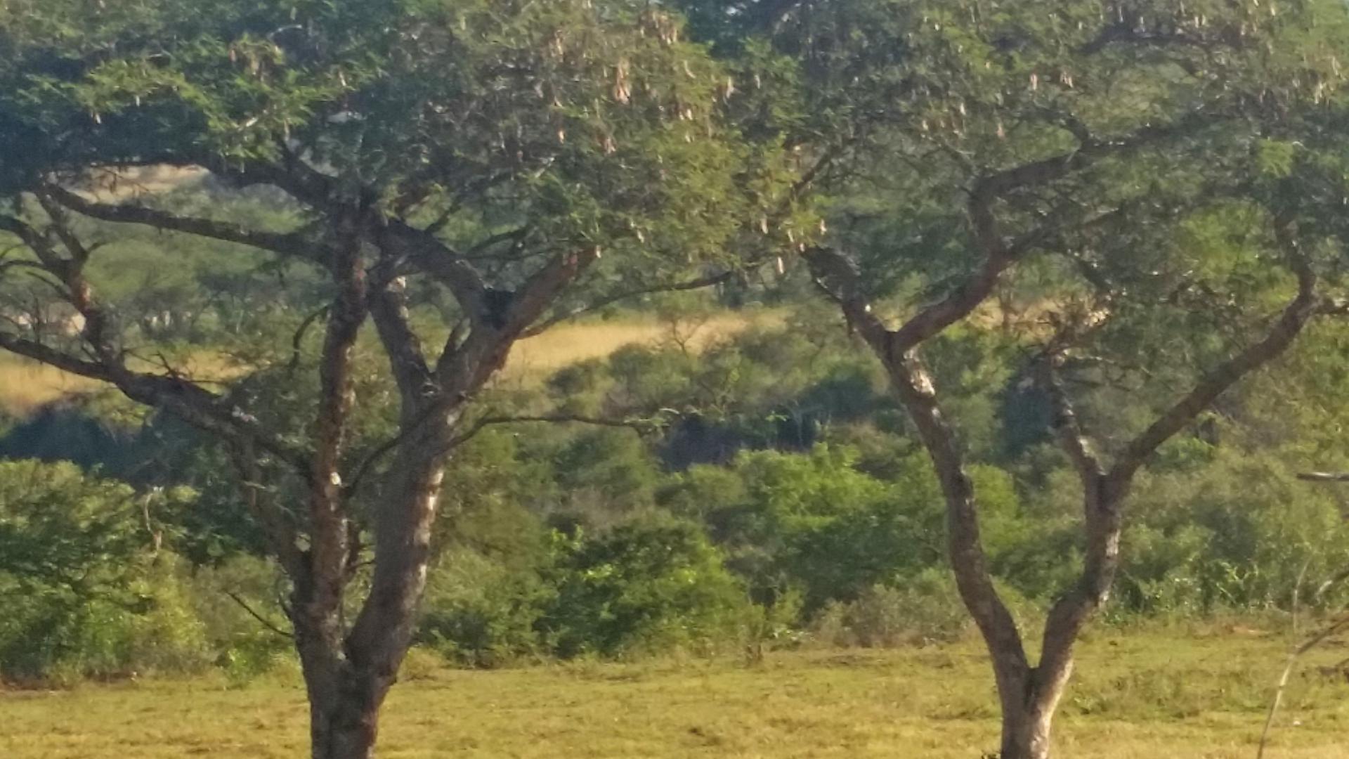 Front View of property in Barberton