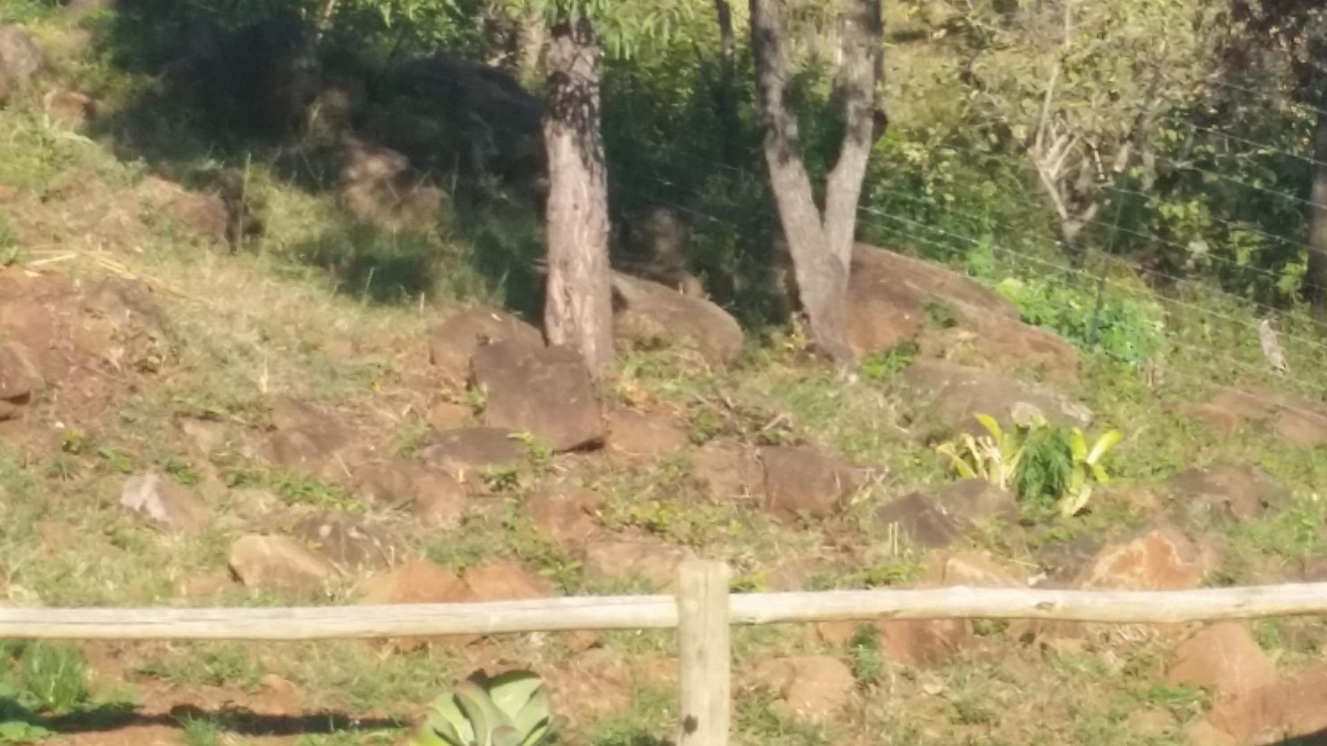 Front View of property in Barberton