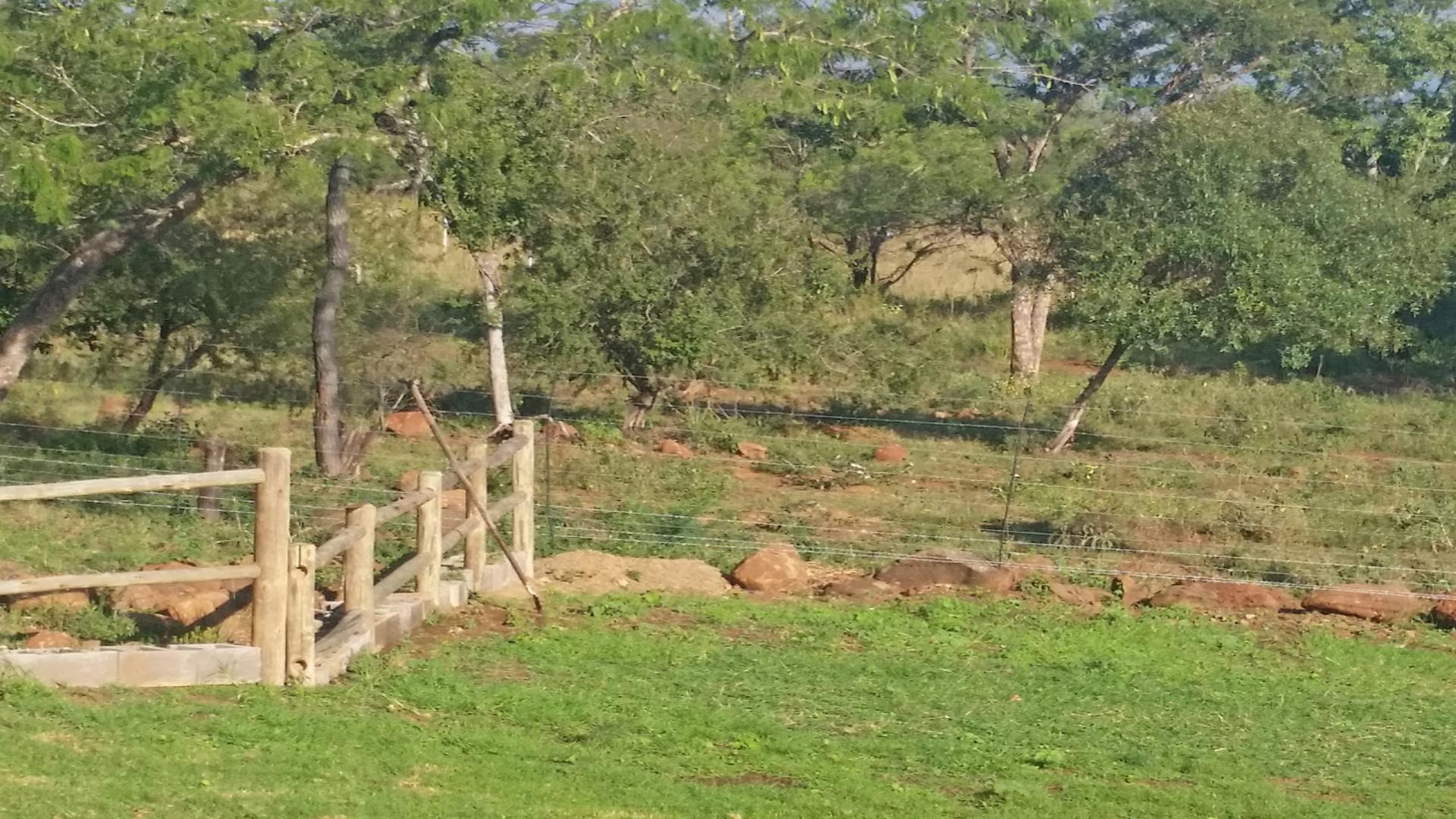 Front View of property in Barberton