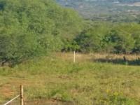 Backyard of property in Barberton