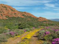 Land for Sale for sale in Calitzdorp