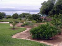 Garden of property in Oviston
