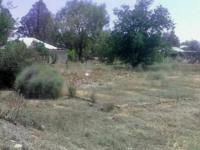 Backyard of property in Christiana