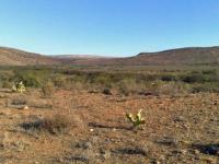 Land for Sale for sale in Willowmore