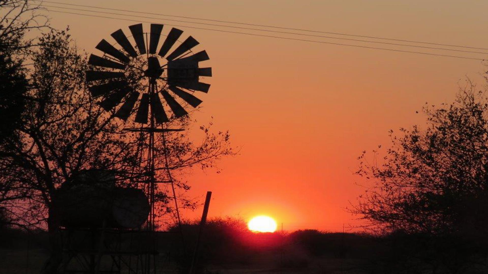 Backyard of property in Lephalale (Ellisras)
