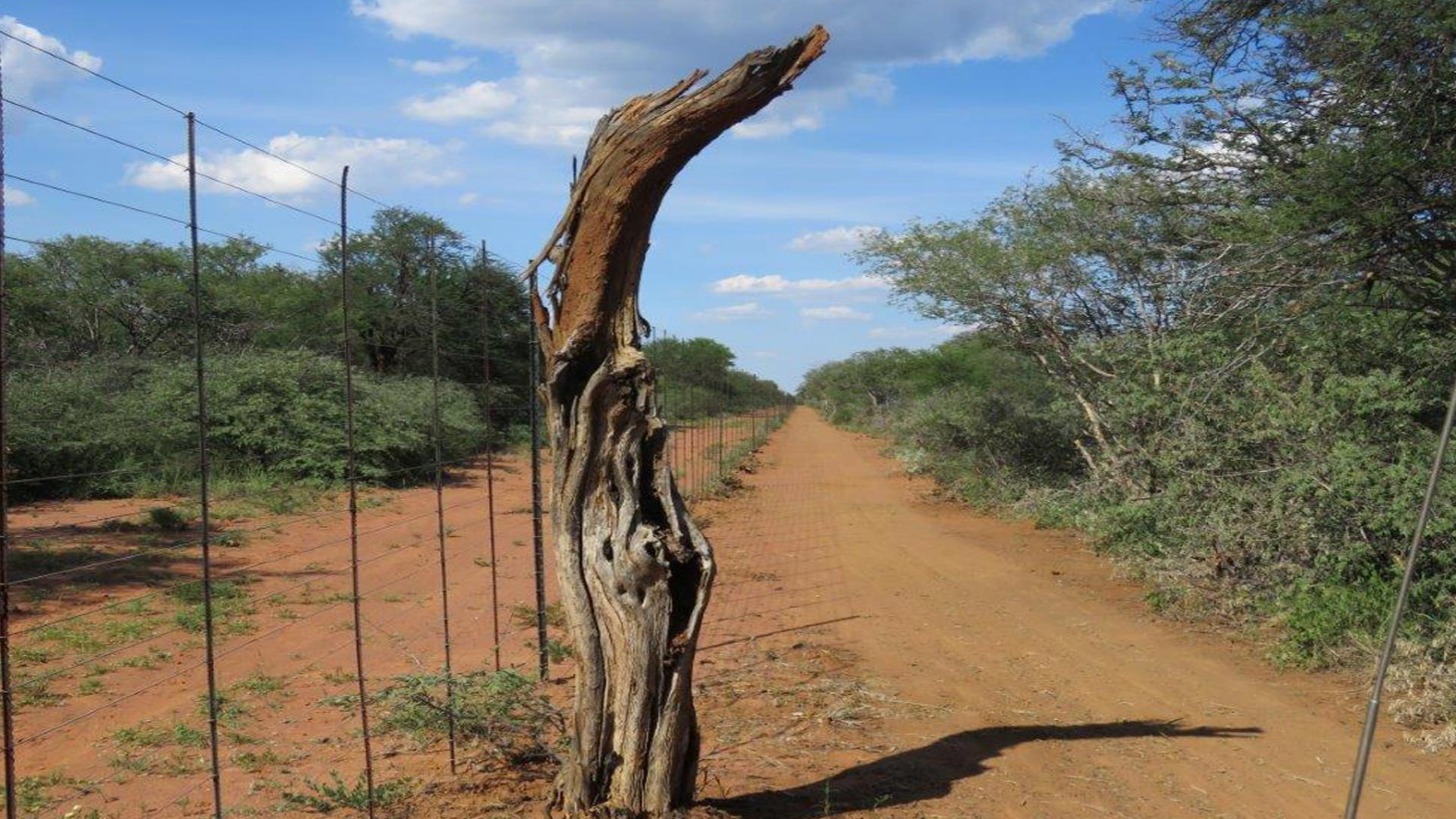 Backyard of property in Lephalale (Ellisras)