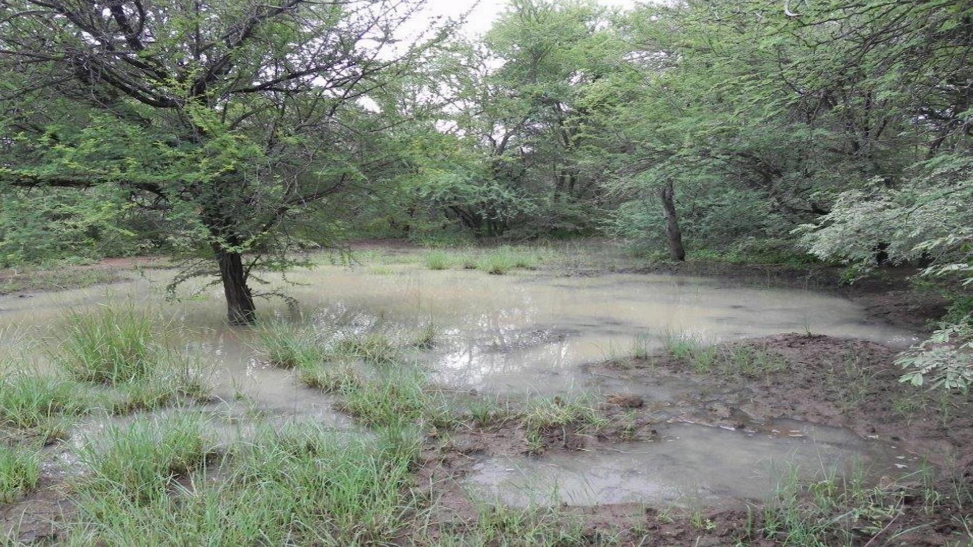 Backyard of property in Lephalale (Ellisras)