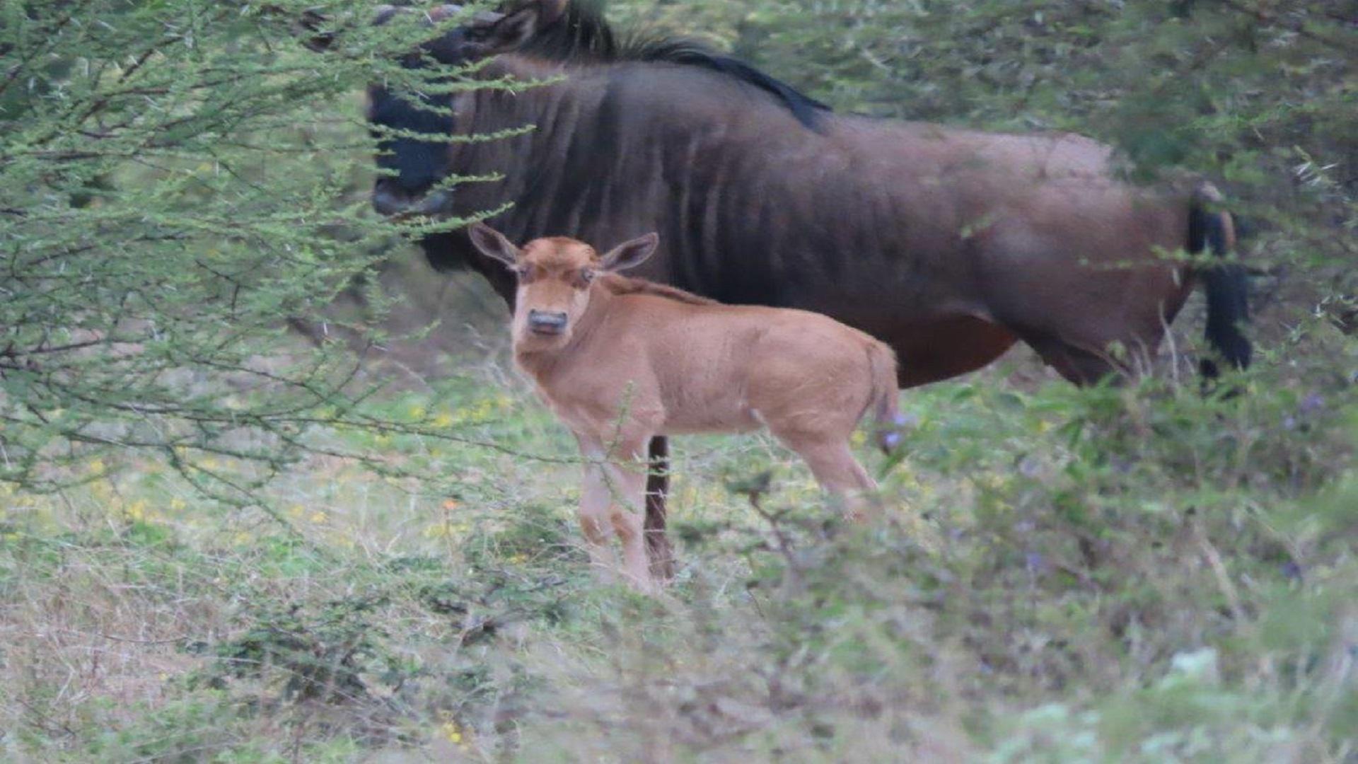 Spaces of property in Lephalale (Ellisras)